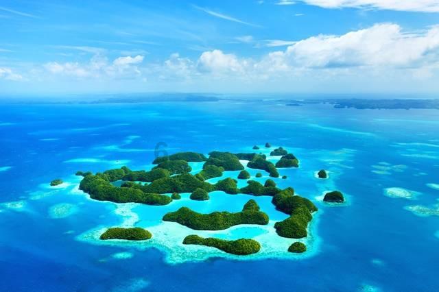 浙里烧创始人留培杨先生:让更多人感受浙江本土白酒的魅力